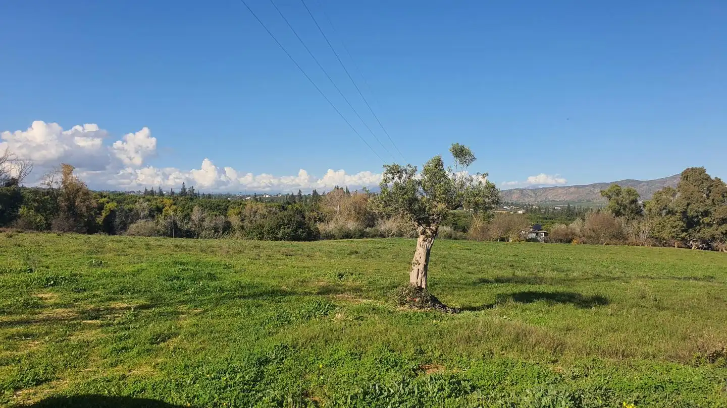 Terreni e lotti in vendita a Pinos de Alhaurín - Periferia, imagen 3