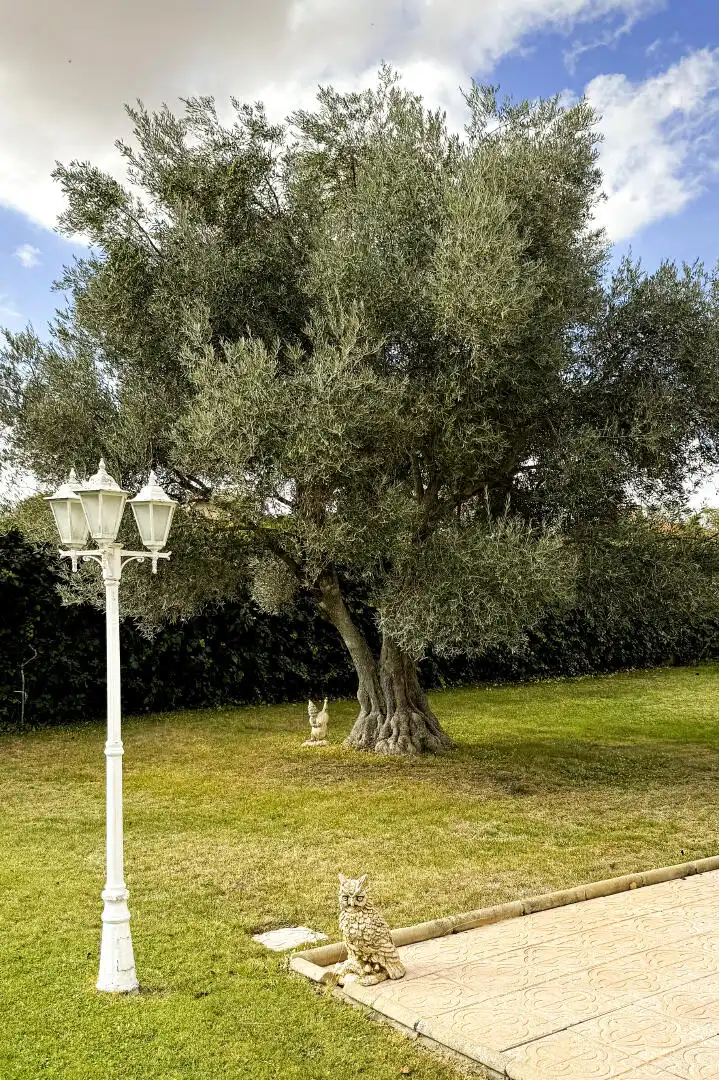 Jardí de Casa o xalet en venda en Galindo y Perahuy
