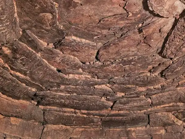 Casa rústica amb jardí en venda a Lugar Vileimil-Pq Vilaboa 6, imagen 15