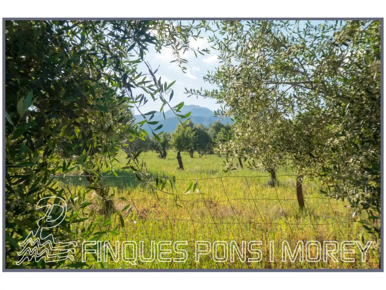 Finca rústica en venda en Campanet