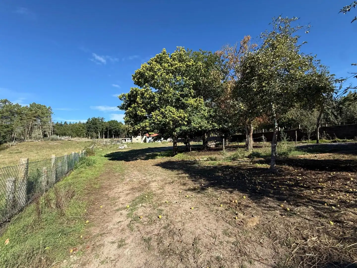 Casa o chalet en venta en O Bolo  con Calefacción, Jardín privado y Parquet