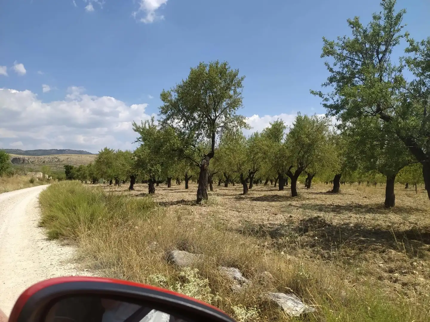 Grundstücke zur Miete in Puebla de Don Fadrique