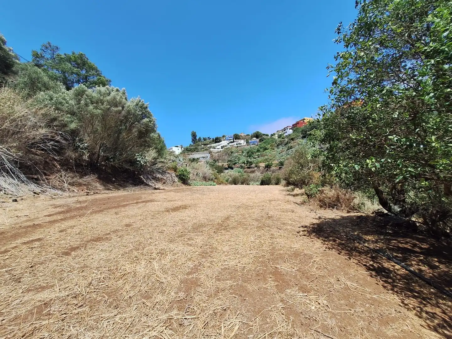 Xalet amb jardí en venda a Camino Pino Santo Bajo, imagen 18