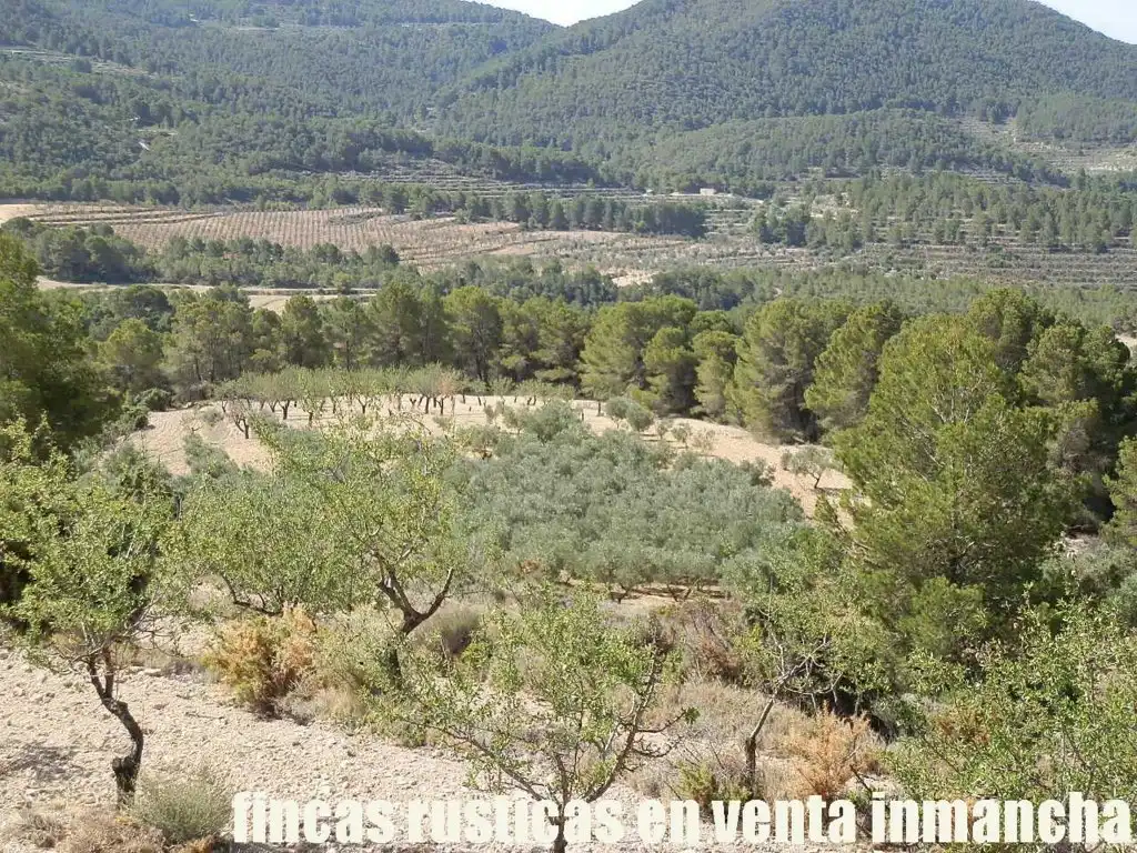 Terreny rústic en venda a Jijona / Xixona, imagen 2