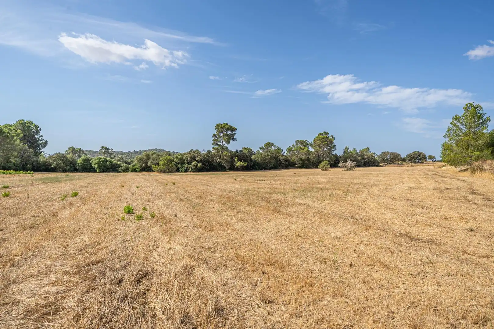 Terrain rustique à vendre à Diseminado Son Mora 199, imagen 17