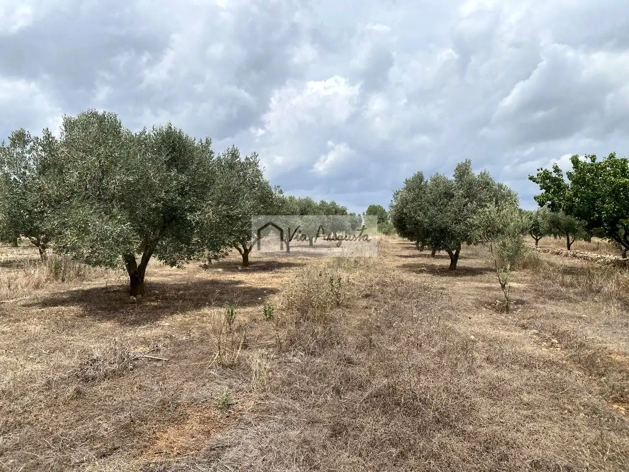 Terreno rustico in vendita a Burga, imagen 21