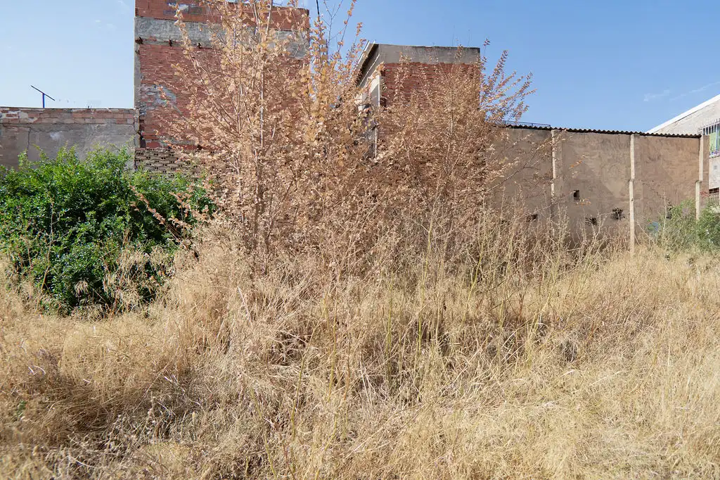 Terreno en venta en Murcia