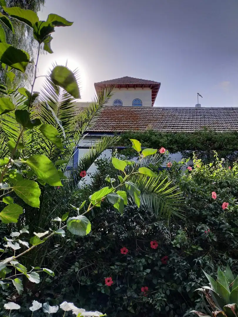 Casa o chalet en venta en Santa Ana