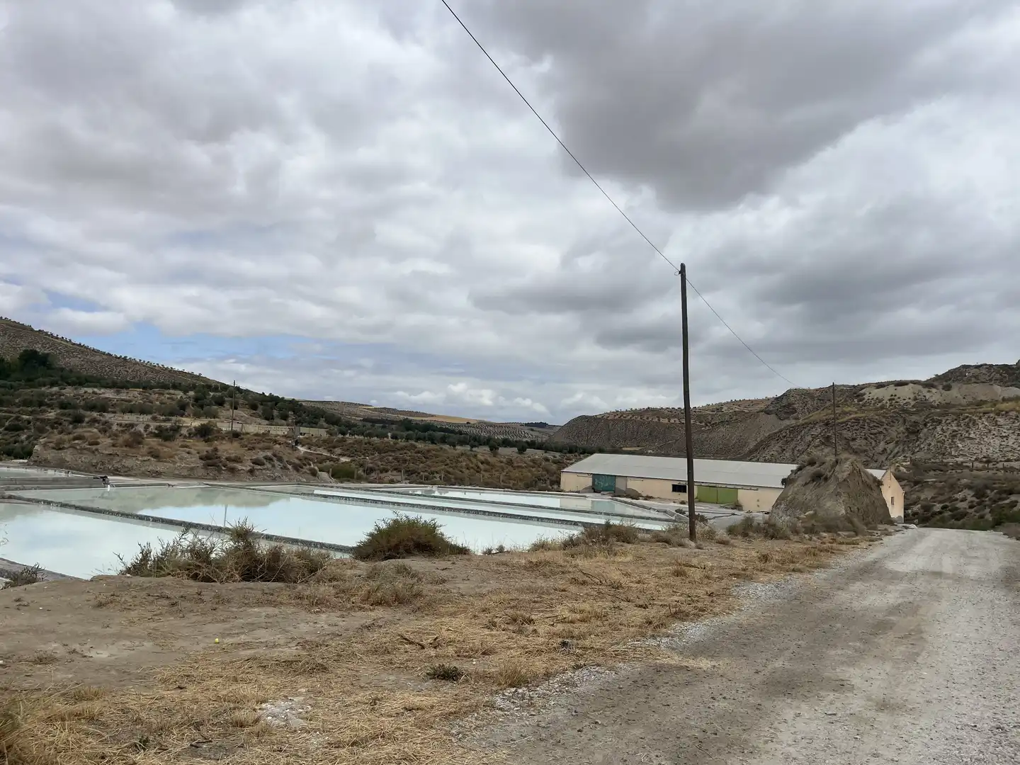 Swimming pool of Industrial land for sale in La Malahá