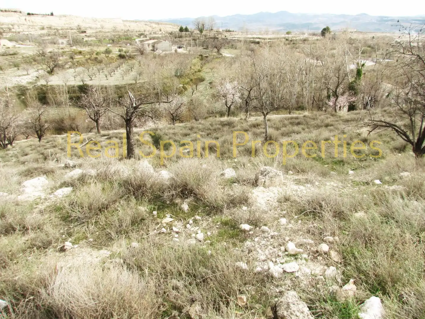 Terrenos y solares en venta en Vélez-Blanco, imagen 3