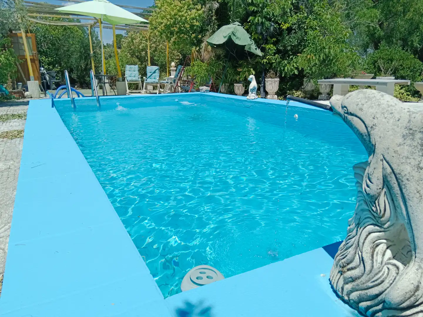 Piscina de Casa o xalet en venda en Illana amb Jardí privat, Terrassa i Piscina