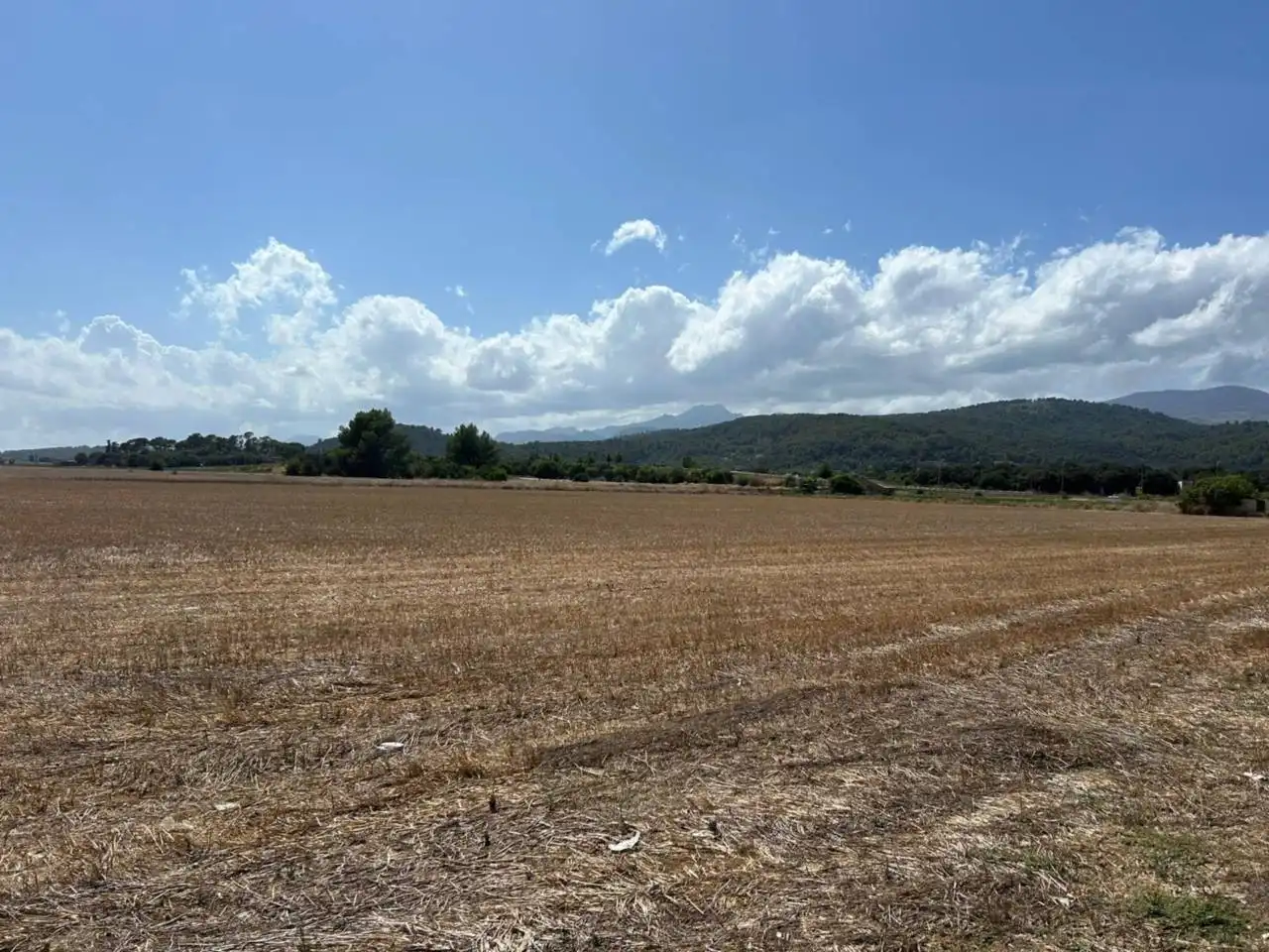 Wohnbaugrundstück zum Verkauf in Sa Pobla, imagen 8