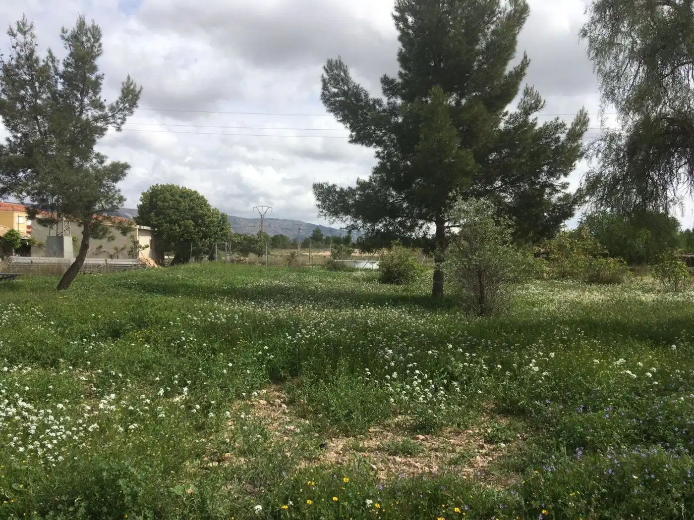 Terreny residencial en venda a Algueña, imagen 13