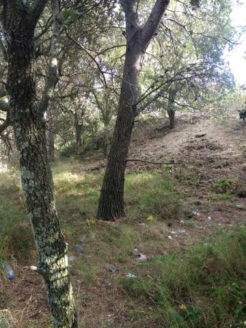 Terreno residencial en Venta en Rocabruna en Maspujols