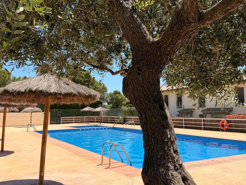 Piscina de Casa o xalet en venda en L'Estartit amb Aire condicionat, Calefacció i Jardí privat