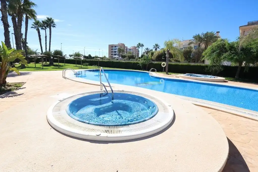 Piscina de Àtic en venda en Pilar de la Horadada amb Jardí privat, Terrassa i Balcó