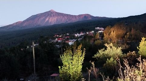 Foto 3 de Finca rústica en venta en La Vega - El Amparo - Cueva del Viento, Icod de los Vinos