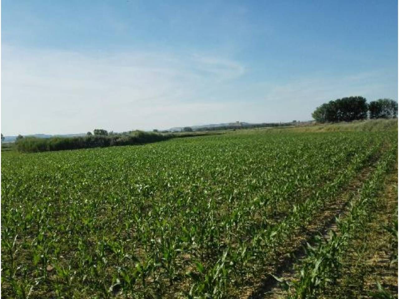 Terreno en venta en Capdesaso