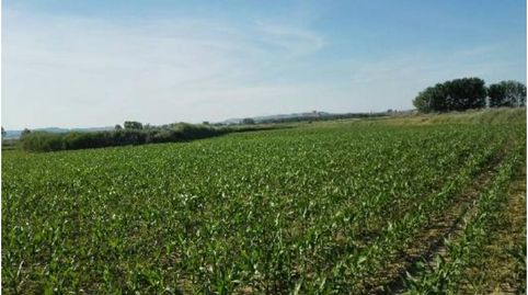 Finca rustica de regadío en venta en Capdesaso