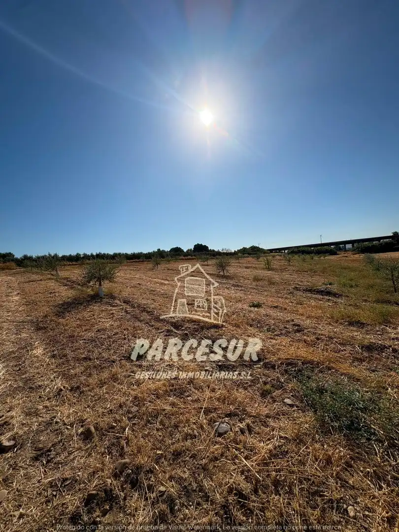 Terreno rustico in vendita a Periurbano Oeste - Sierra, imagen 2