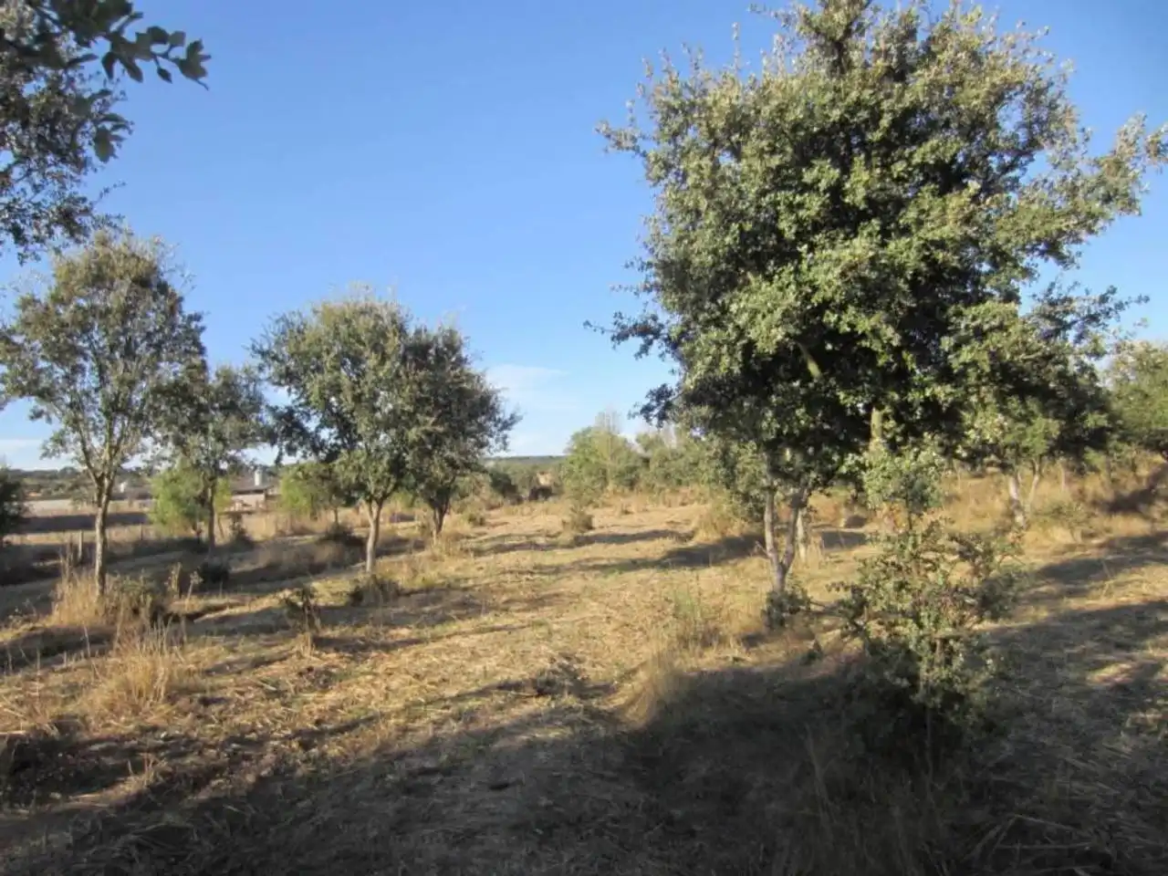 Terreno residencial en venta en Poligono 14, imagen 11
