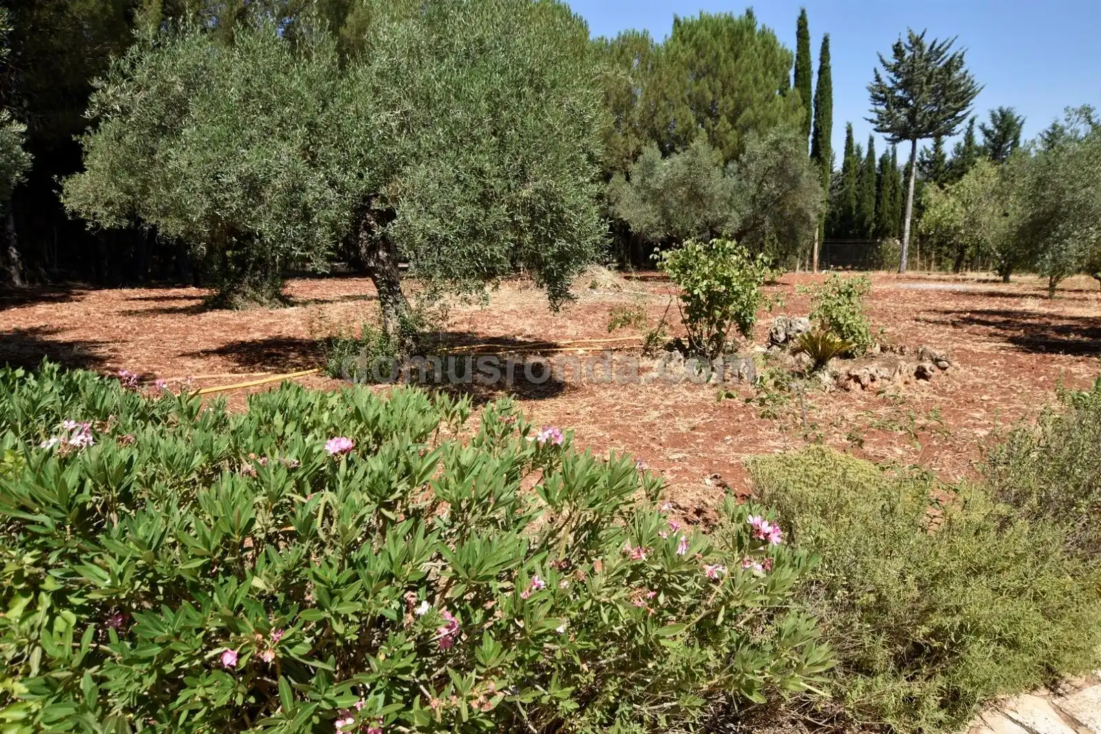 Finca rústica en venta en Ronda con Terraza y Amueblado