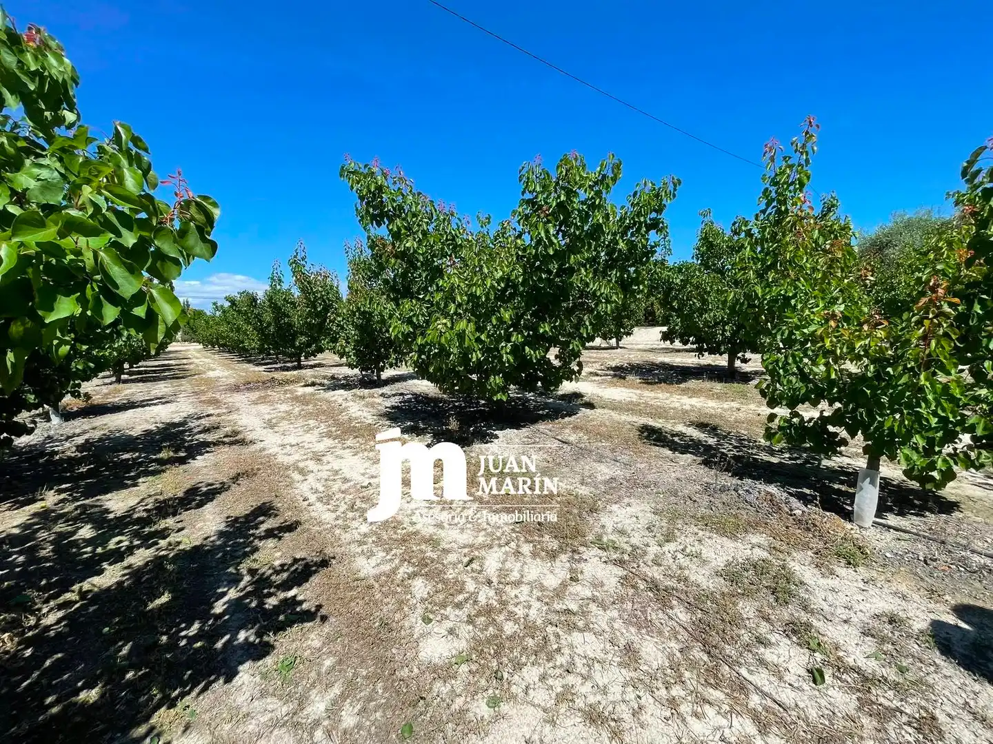 Finca rústica en venta en Cieza con Aire acondicionado, Calefacción y Terraza
