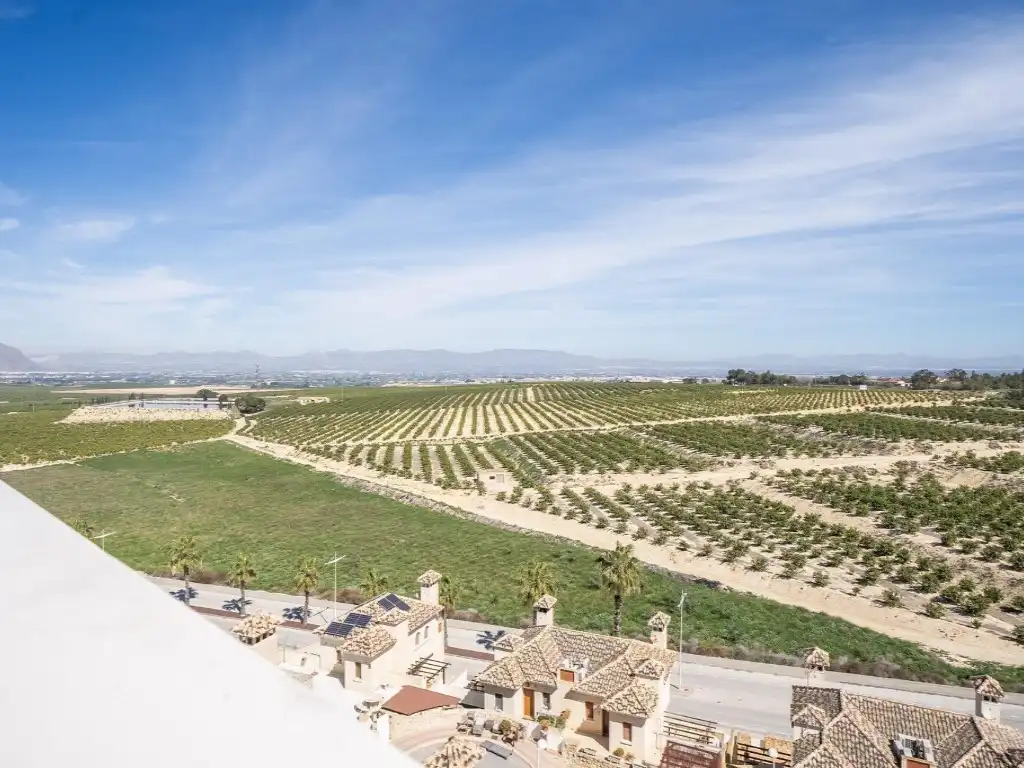 House with pool for sale in Algorfa, imagen 29