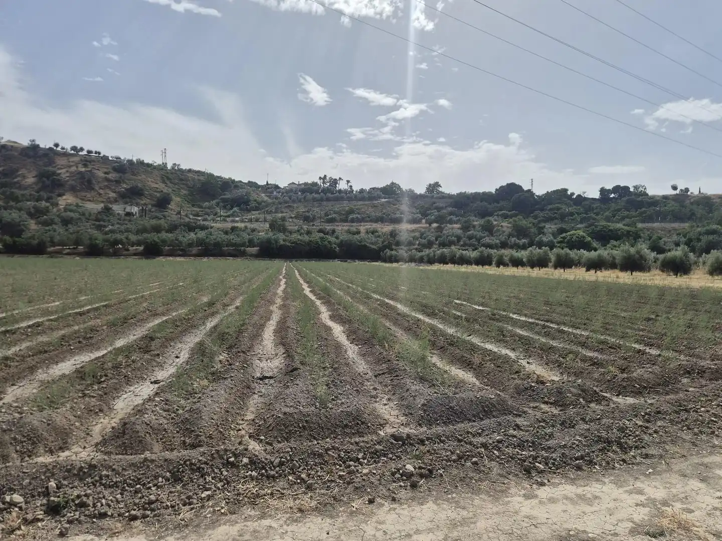 Terrain résidentiel à vendre à Loja, imagen 4