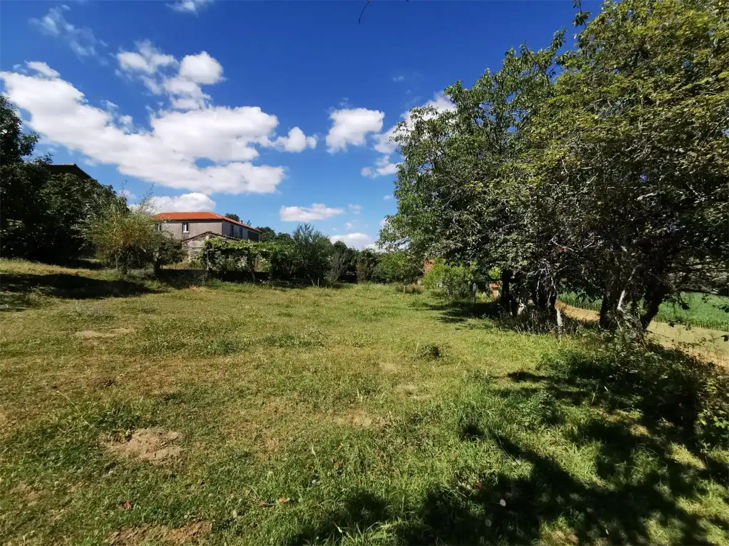 Casa o chalet en venta en Vila de Cruces