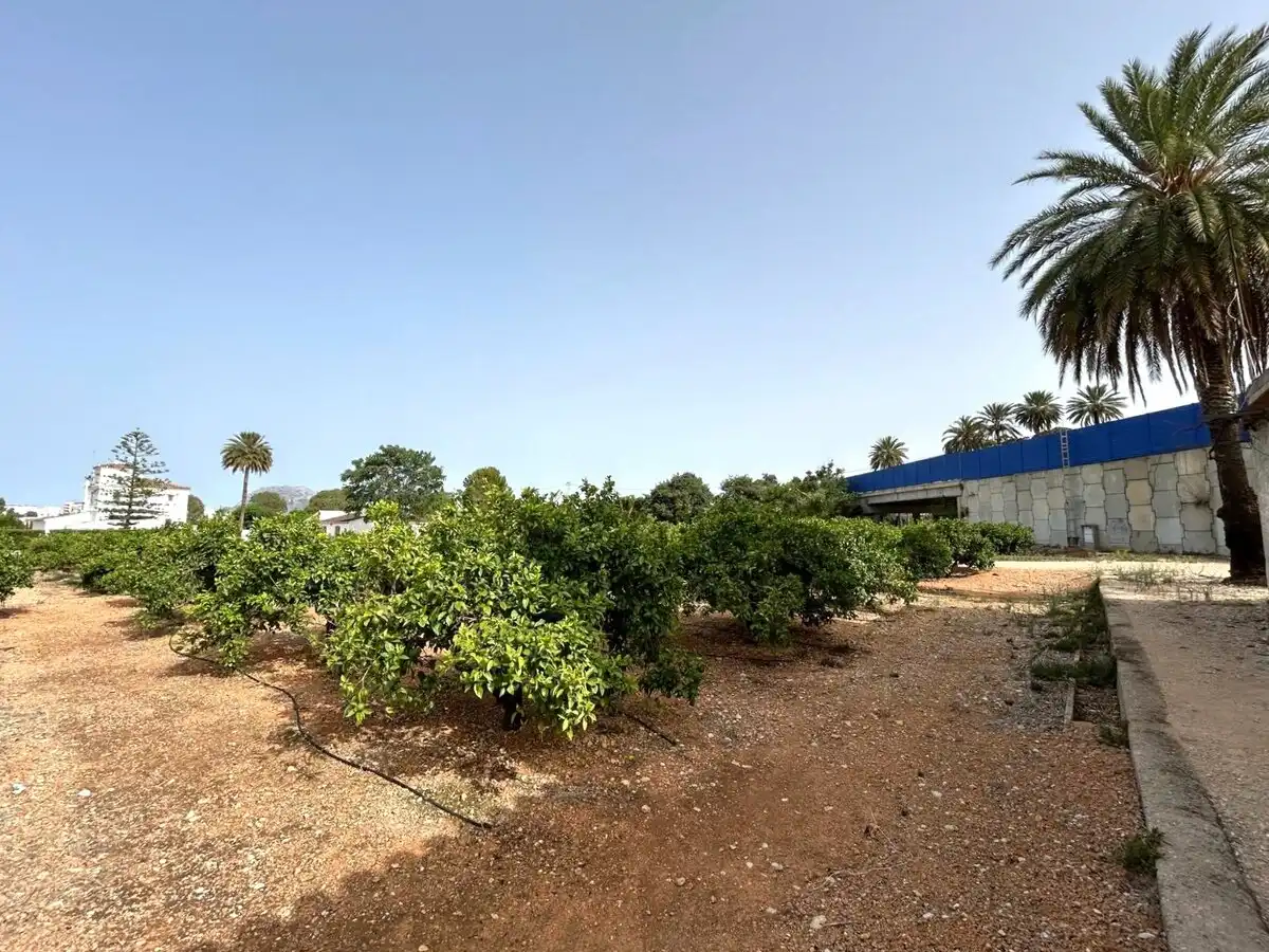 Terrenys i solars en venda a Ondara, imagen 34