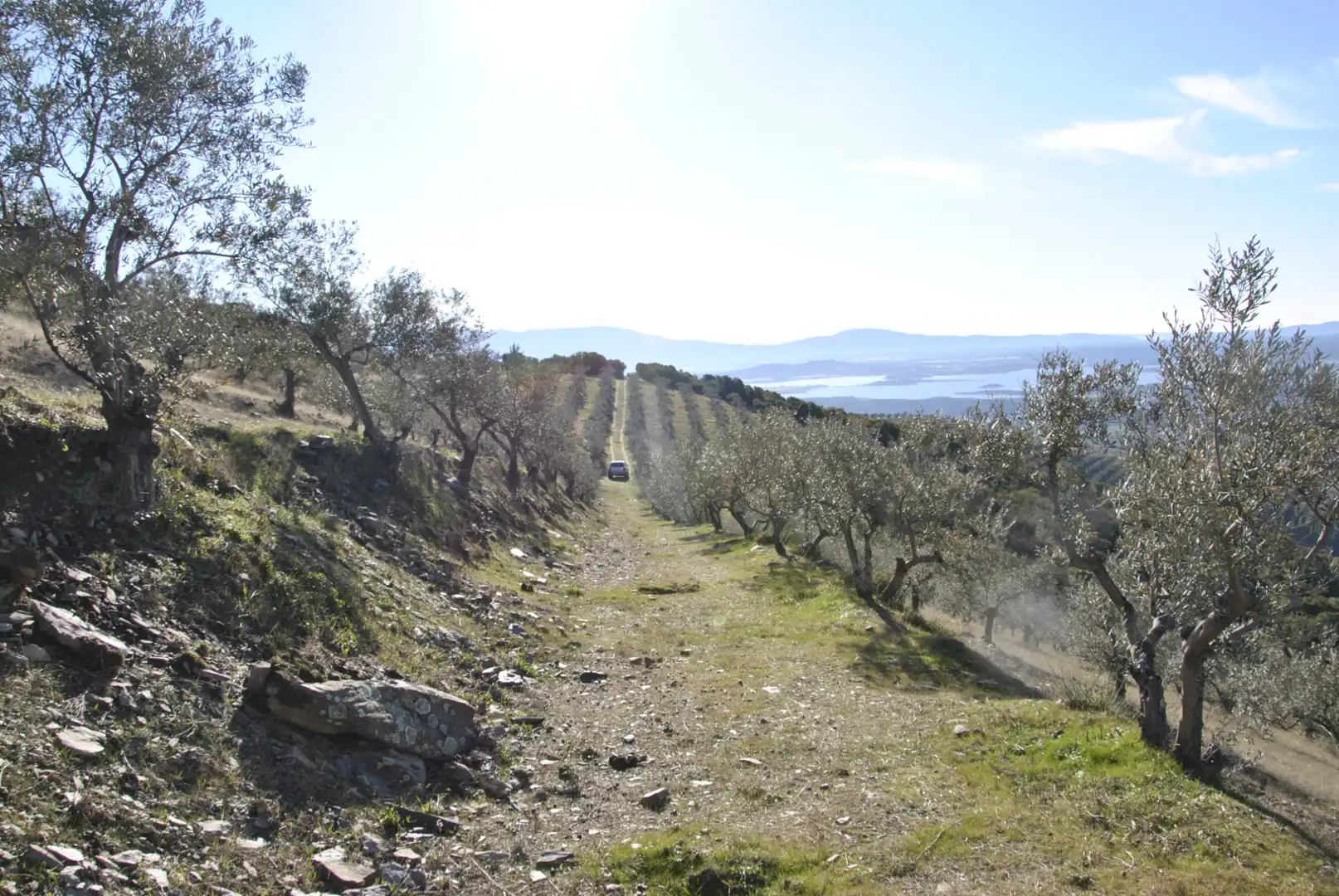 Terreno en venta en La Pesga 