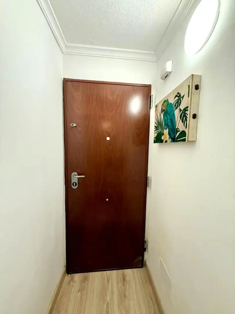 Estudio en venta en Torrevieja con Amueblado