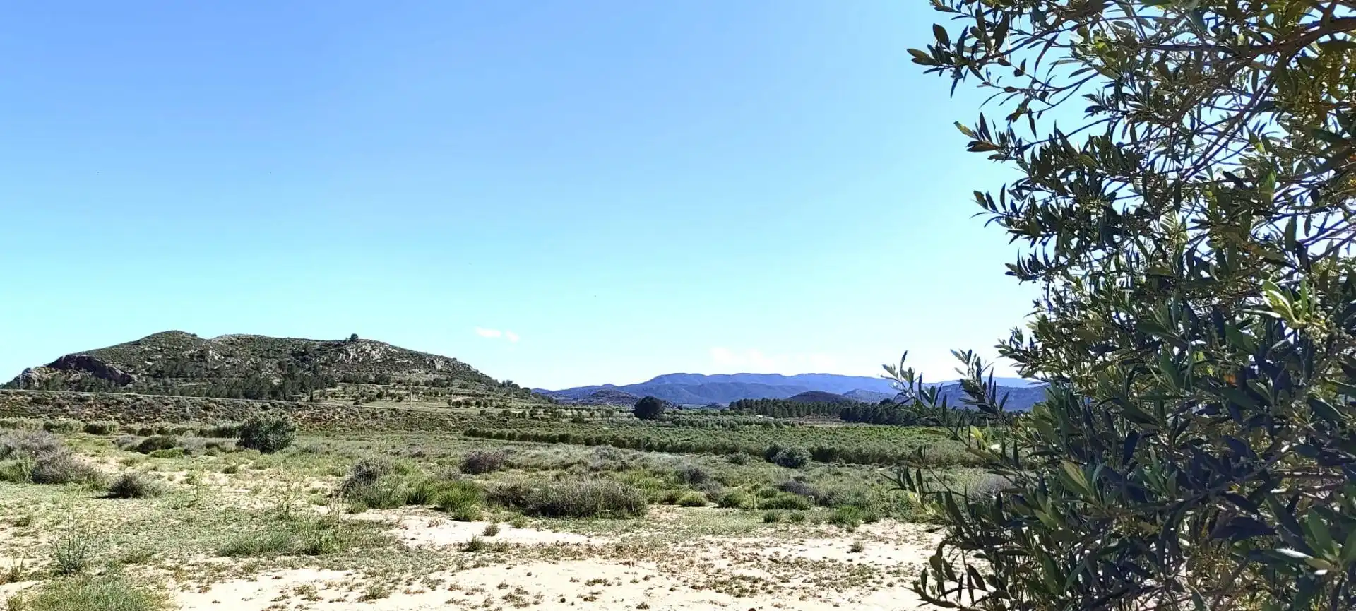 Rural land for sale in Las Virtudes, imagen 4