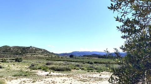 Foto 4 de Terreno en venta en Las Virtudes, Villena