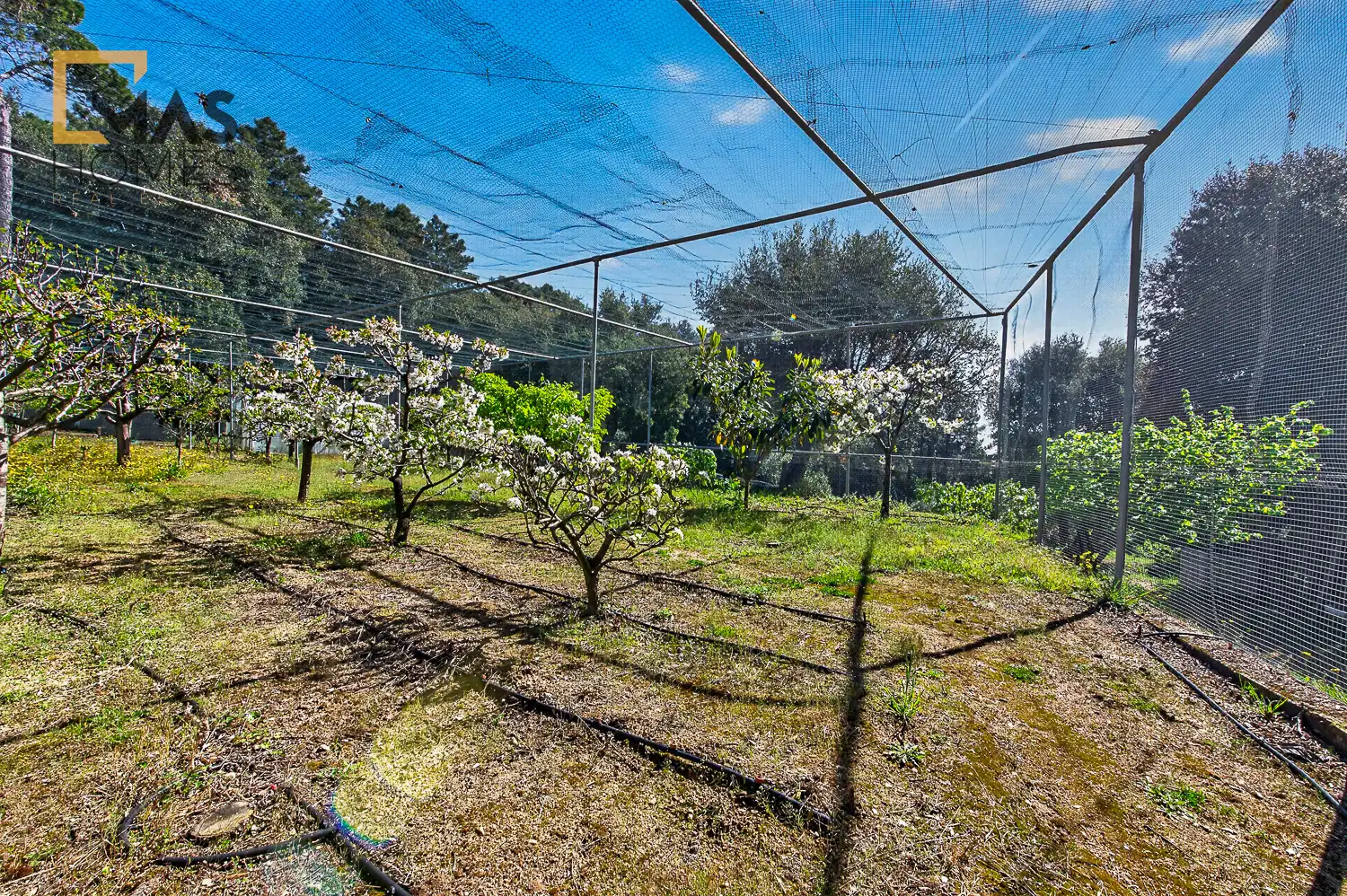 Jardí de Finca rústica en venda en Arbúcies amb Aire condicionat, Calefacció i Jardí privat