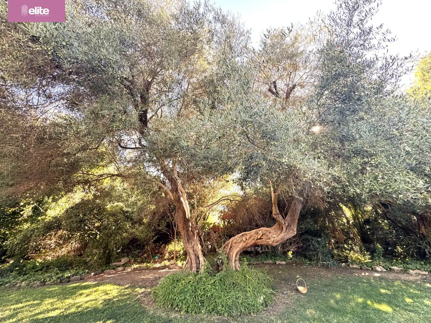 Detached house for sale in Avenida - Divina Pastora - Plaza de Toros, imagen 12