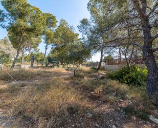 Land for sale in Calvià