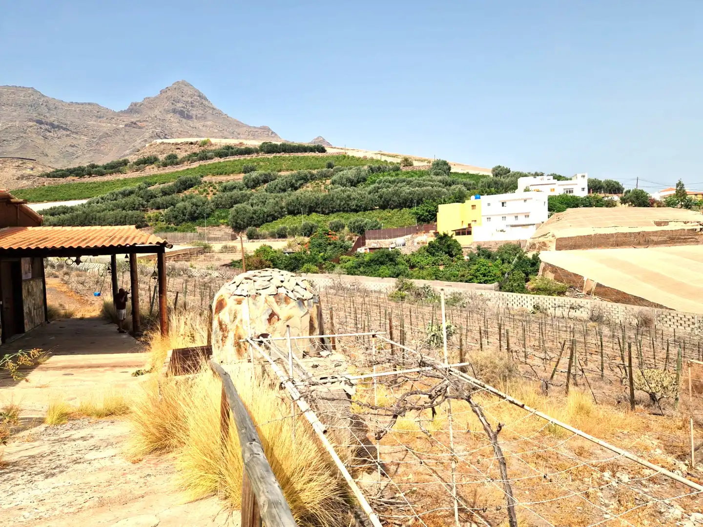 Vista exterior de Casa o xalet en venda en La Aldea de San Nicolás  amb Jardí privat, Terrassa i Piscina
