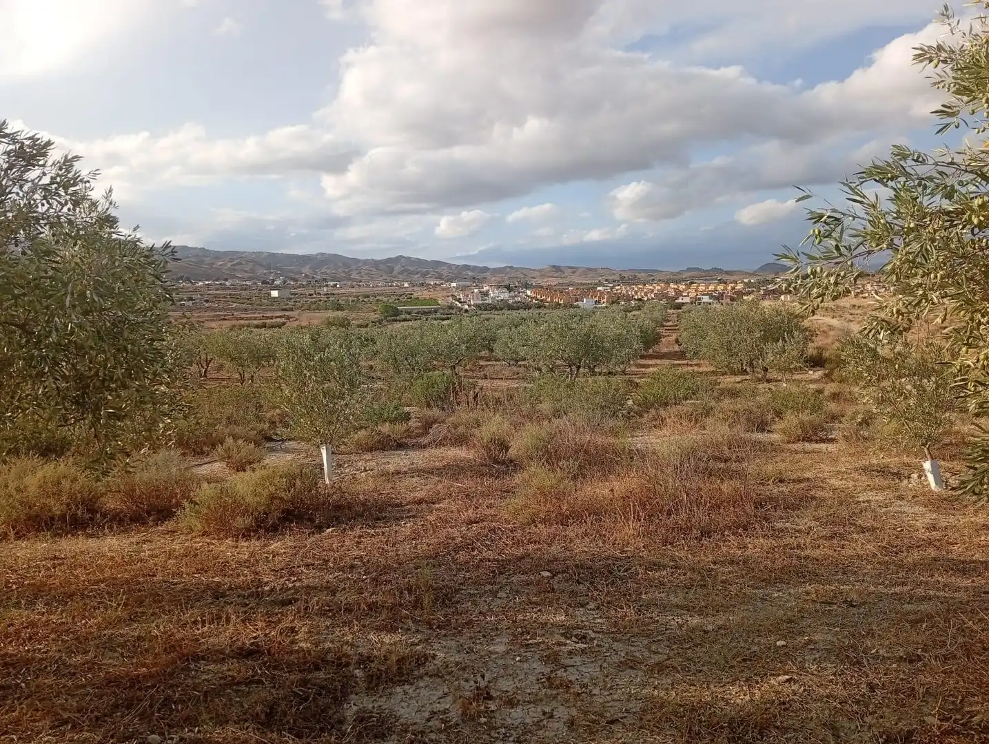Terrenys i solars en venda a Los Gallardos, imagen 26