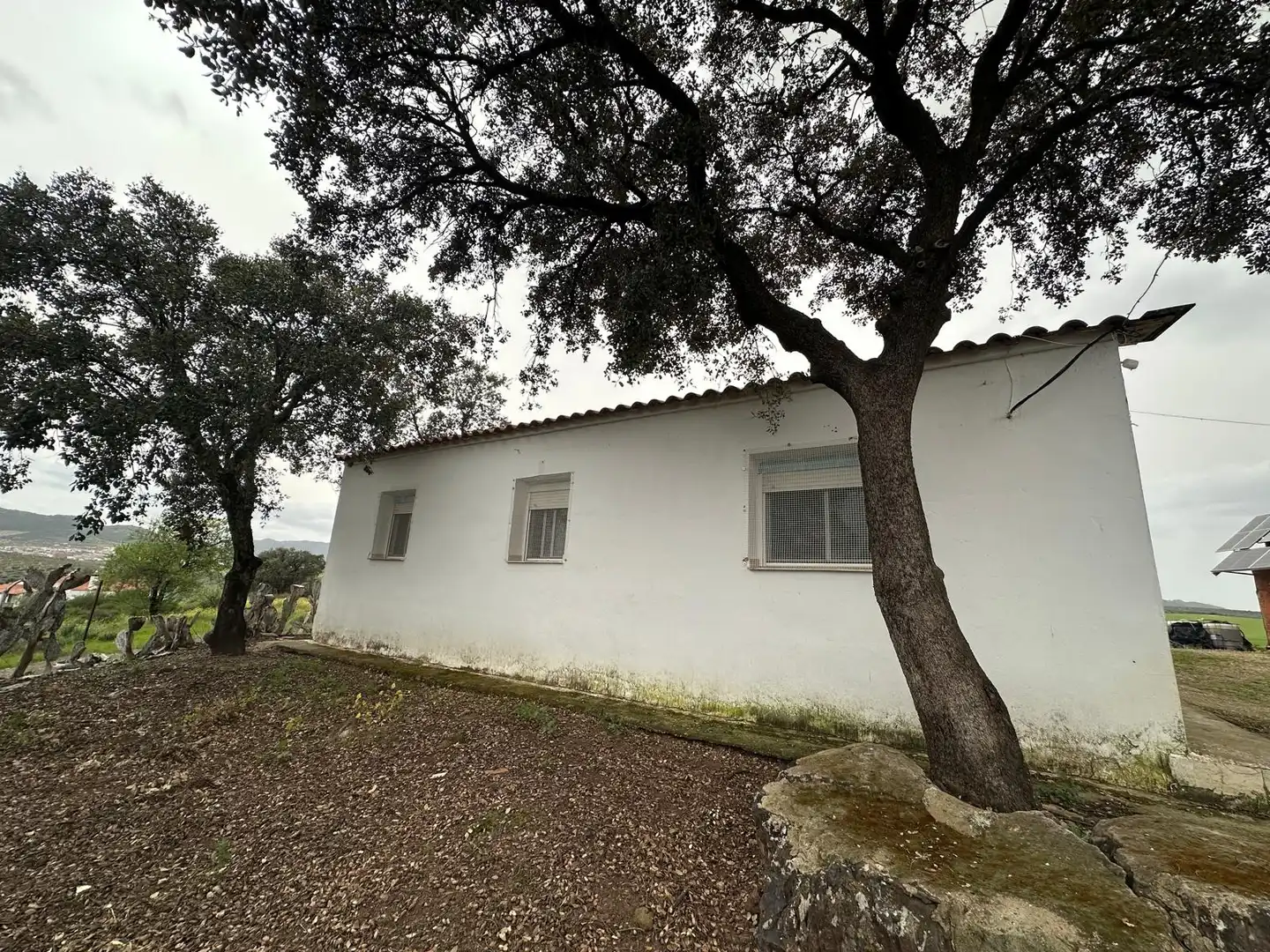 Finca rústica en venta en Oliva de Mérida
