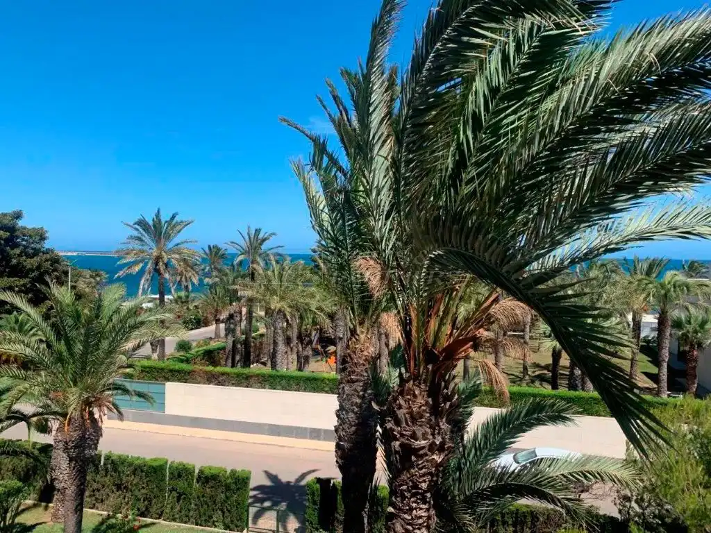 Apartamento con terraza en venta en Mar del Coral 7, imagen 22