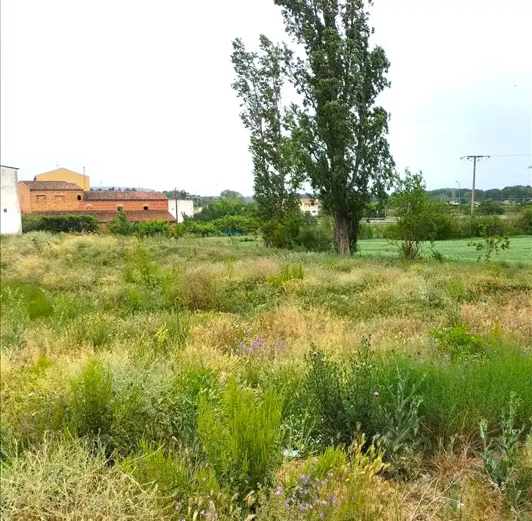 Terreno residencial en venta en CAMINO ALBERITE, imagen 11