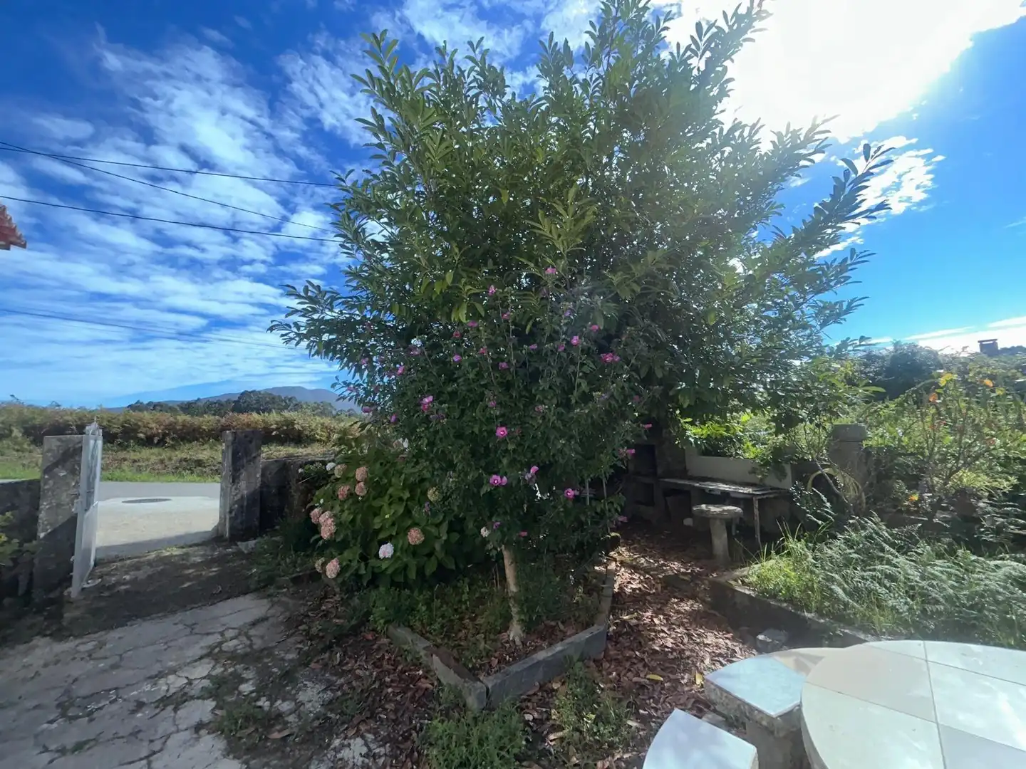 Jardí de Casa o xalet en venda en Ribeira amb Jardí privat