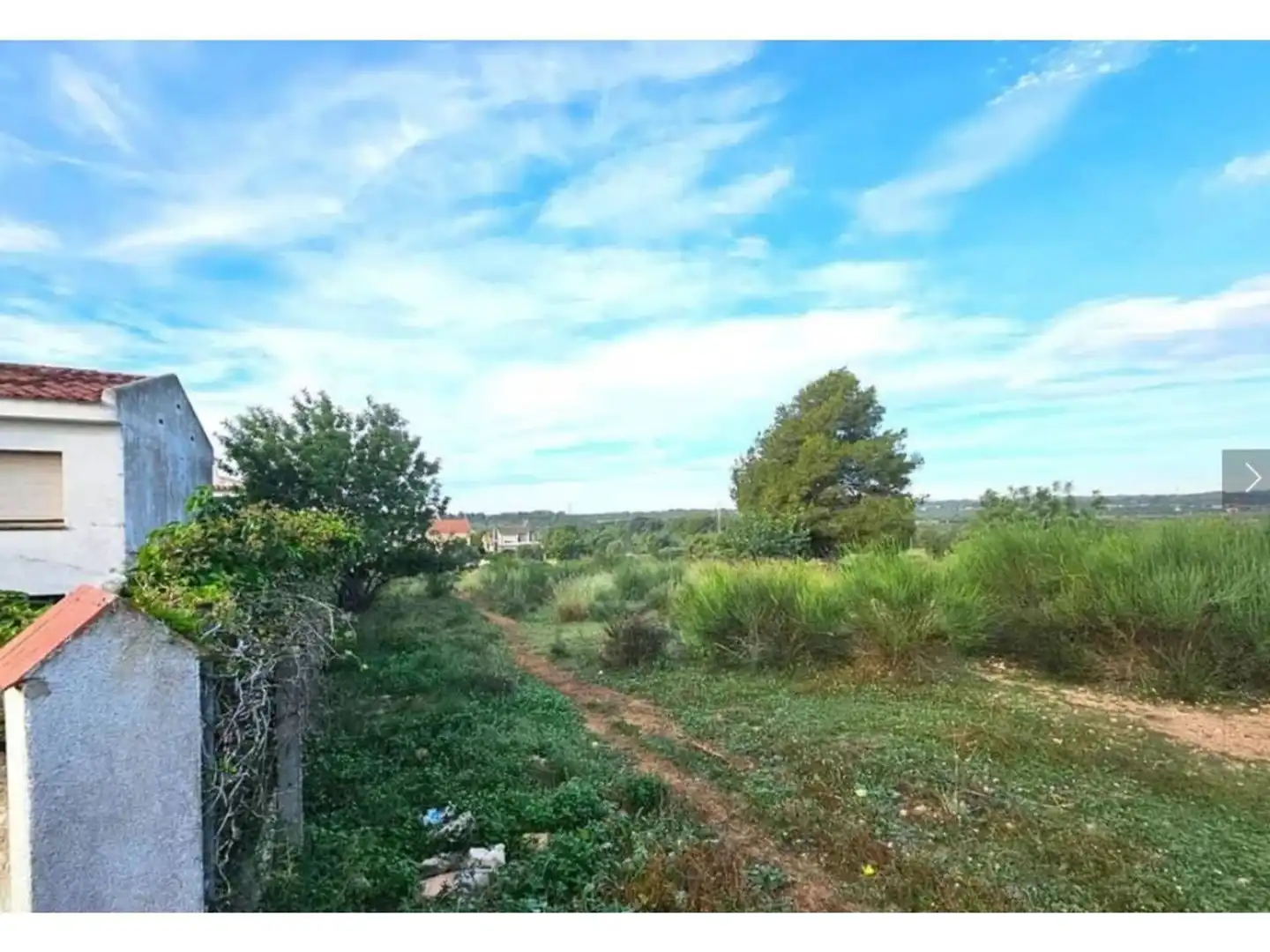 Rural land for sale in Calle de la Fonolleda, imagen 8