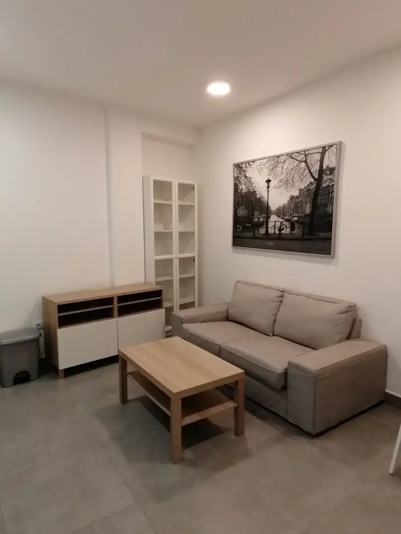 Living room of Flat for rent in Algeciras  with Furnished