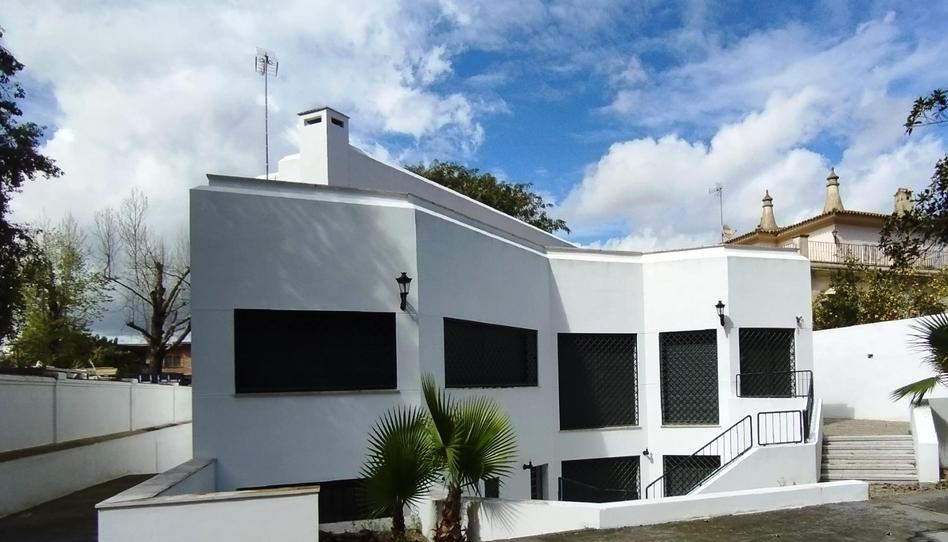 Photo 1 of Flat to rent in Sector Sur  - La Palmera - Reina Mercedes, Sevilla