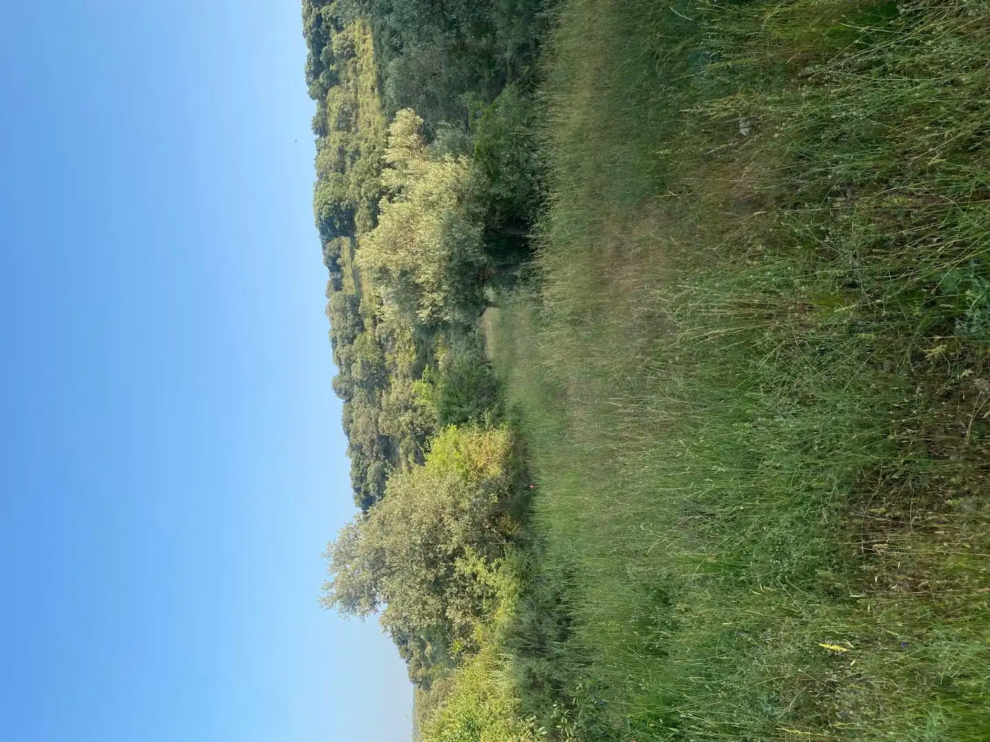 Residential zur Miete in Loranca de Tajuña