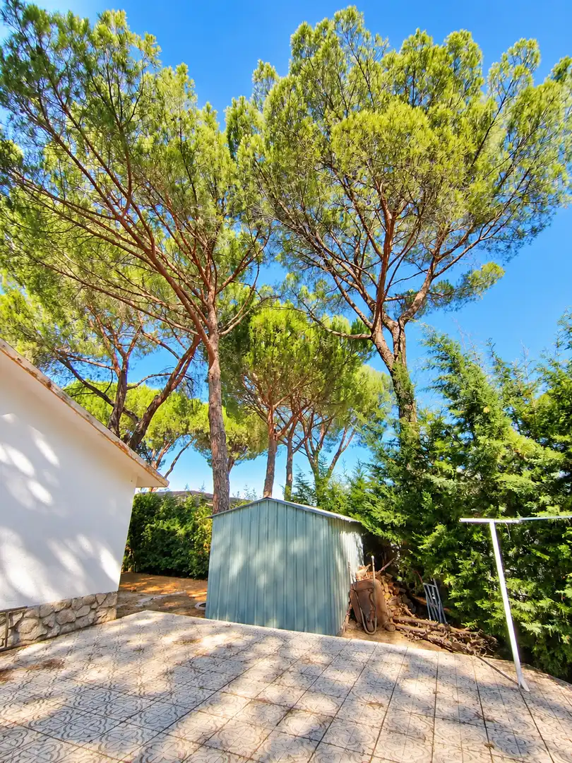 Garden of Houses for sale in Maello, Ávila