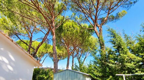 Foto 4 de Casa o xalet en venda a Maello, Ávila